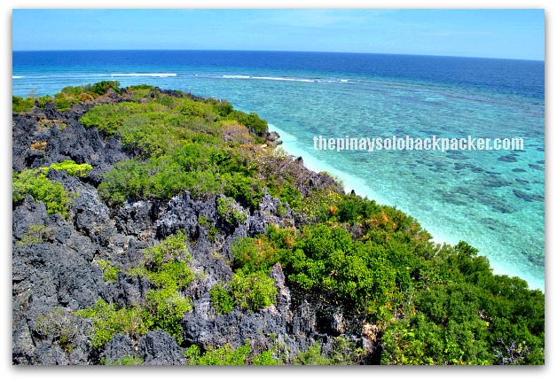 Beyond Diving in Apo Reef