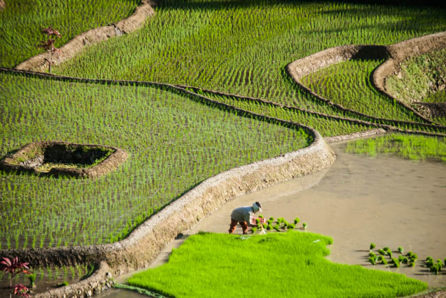 Kiangan, Ifugao : Where the Mountains and the Clouds Collide