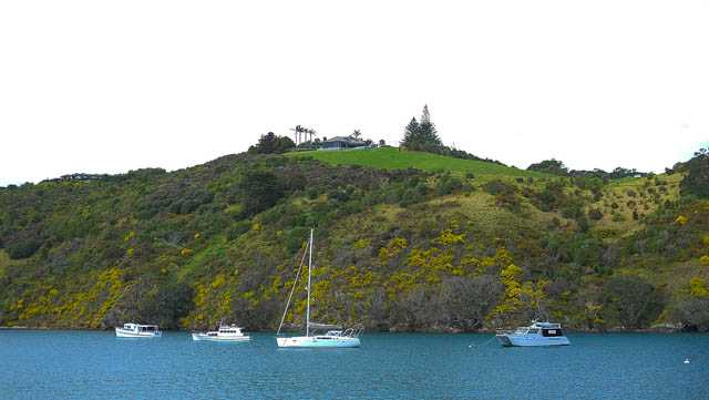 WAIHEKE ISLAND TRAVEL GUIDE