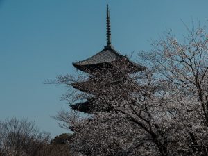 japan vlog travel kyoto