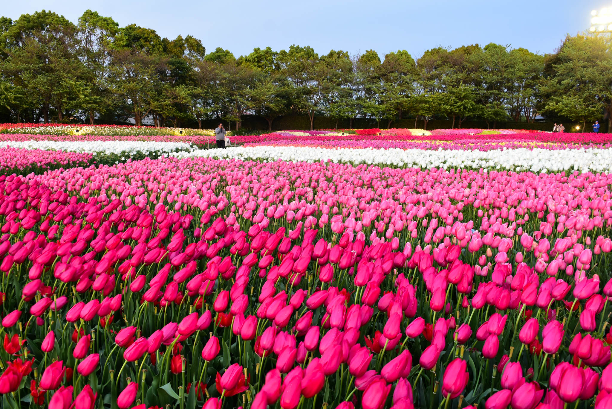 NAGOYA TRAVEL GUIDE (Budget + Itinerary)