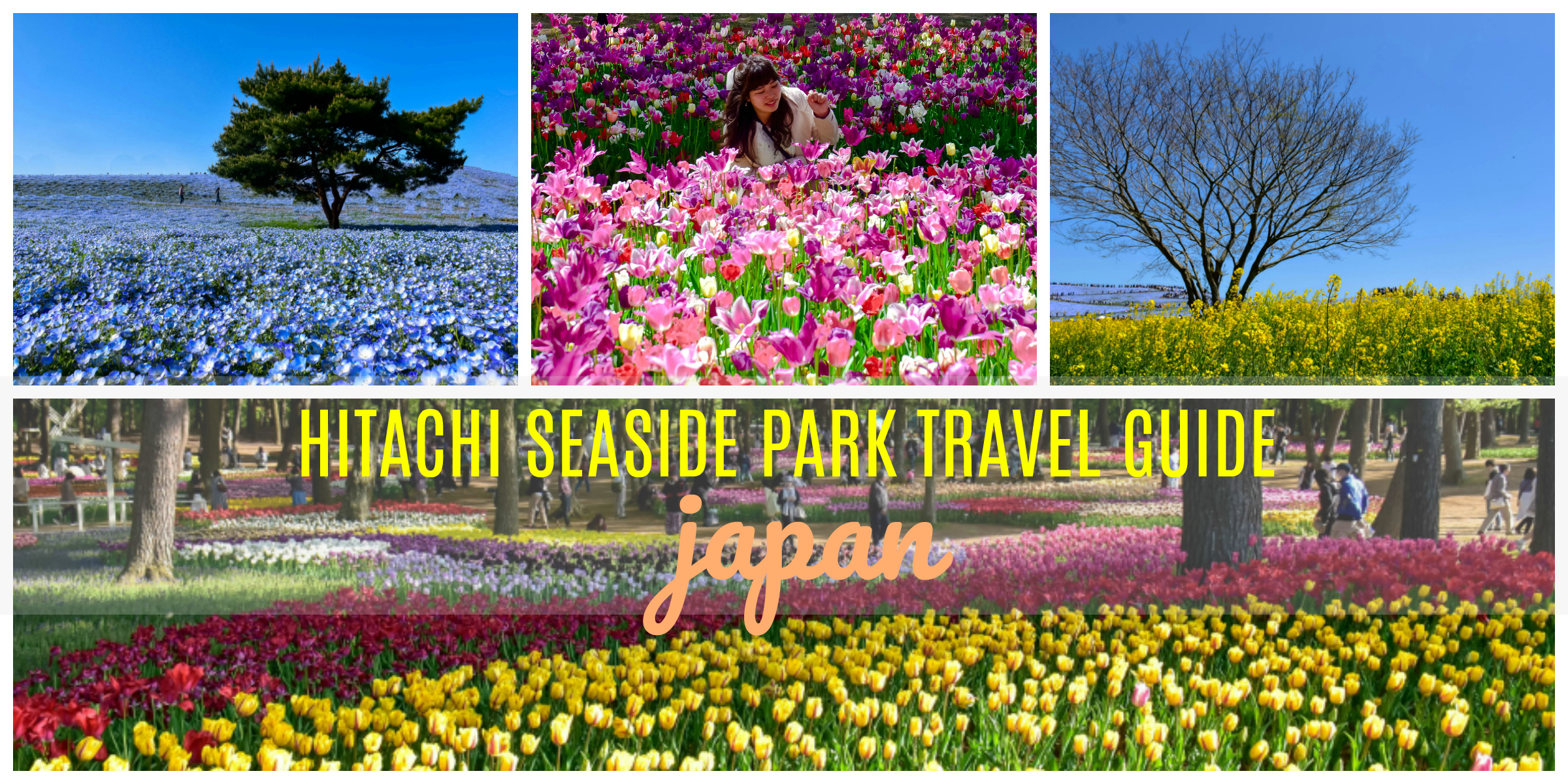 HITACHI SEASIDE PARK FROM TOKYO