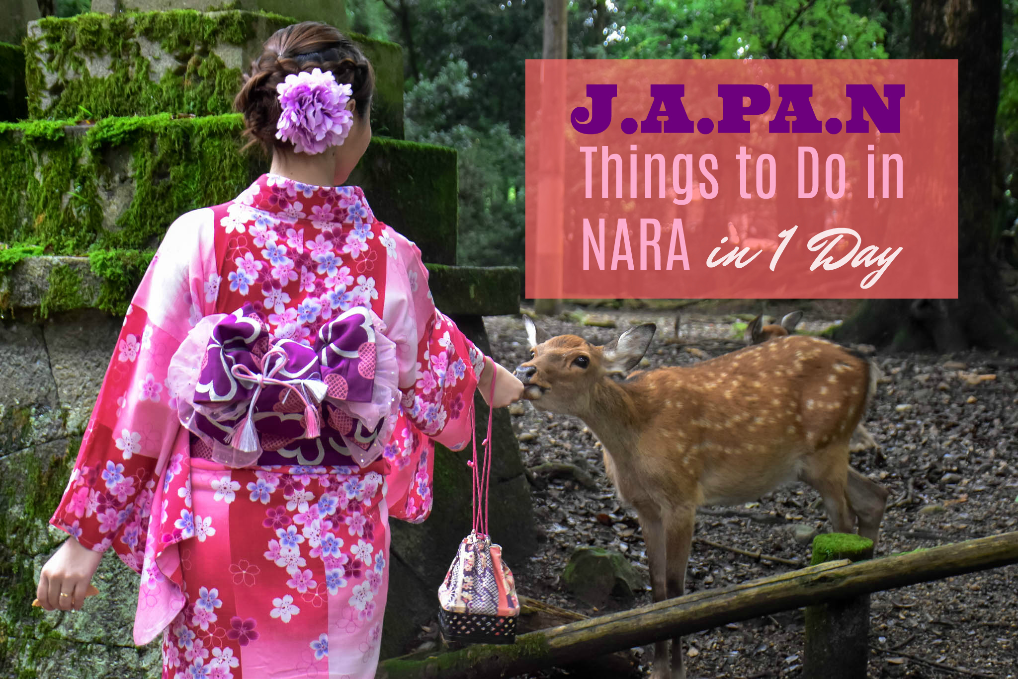 What to Do in Nara in 1 Day and How to Get There