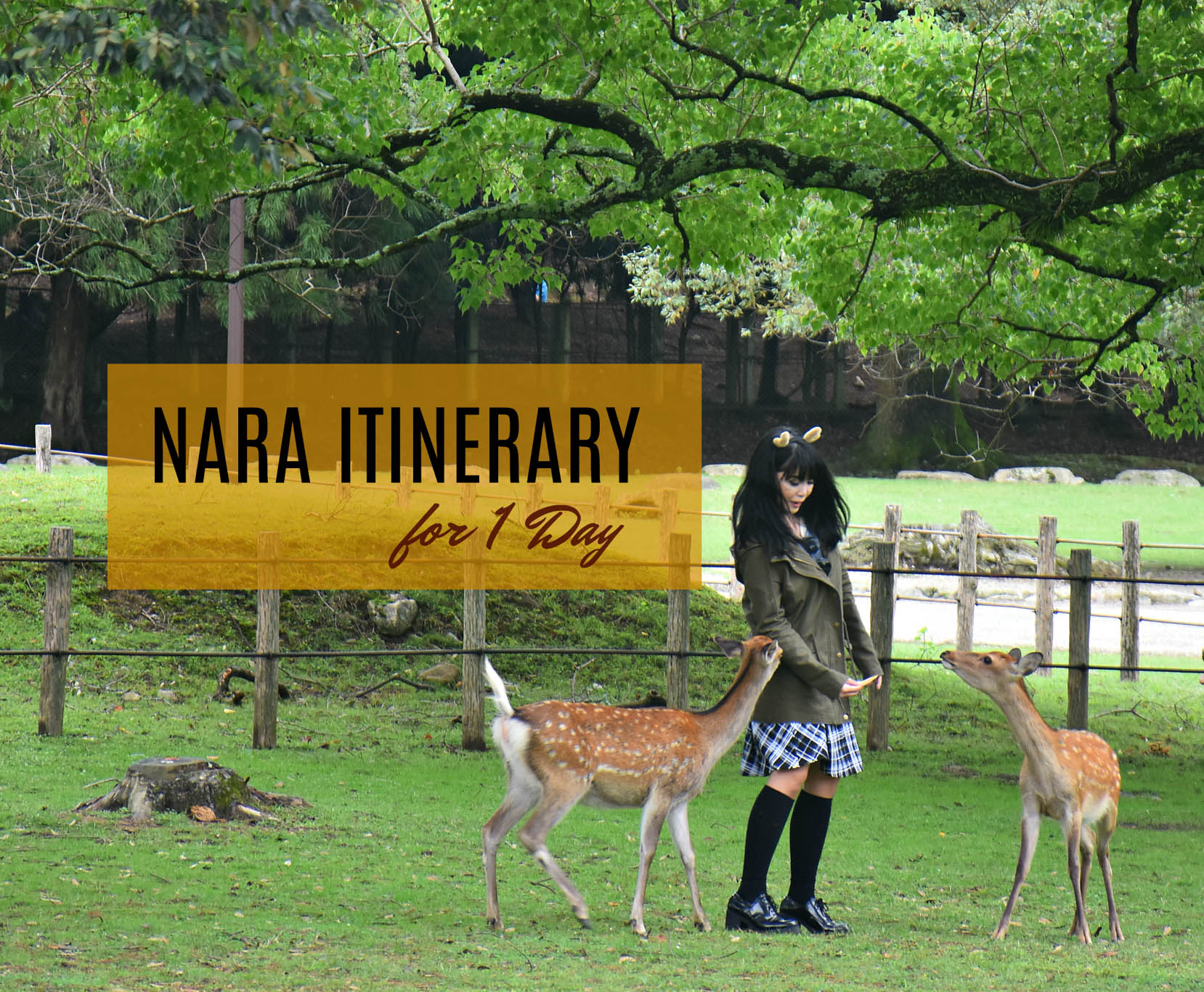 NARA ITINERARY: 1 DAY / DAY TRIP FROM OSAKA OR KYOTO