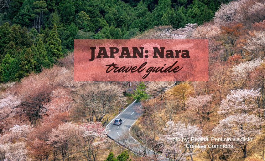 nara travel guide