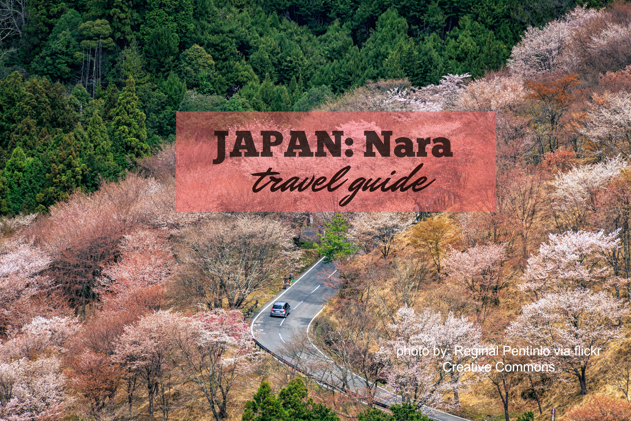 NARA TRAVEL GUIDE (Budget + Itinerary) 2019