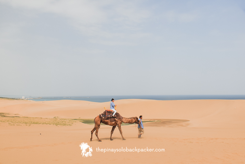 TOTTORI SAND DUNES