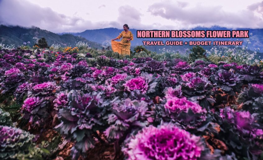 NORTHERN BLOSSOMS FLOWER FARM