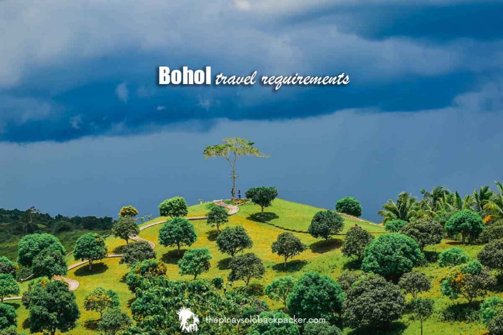 2022 BOHOL TRAVEL REQUIREMENTS The Pinay Solo Backpacker Itinerary Blog