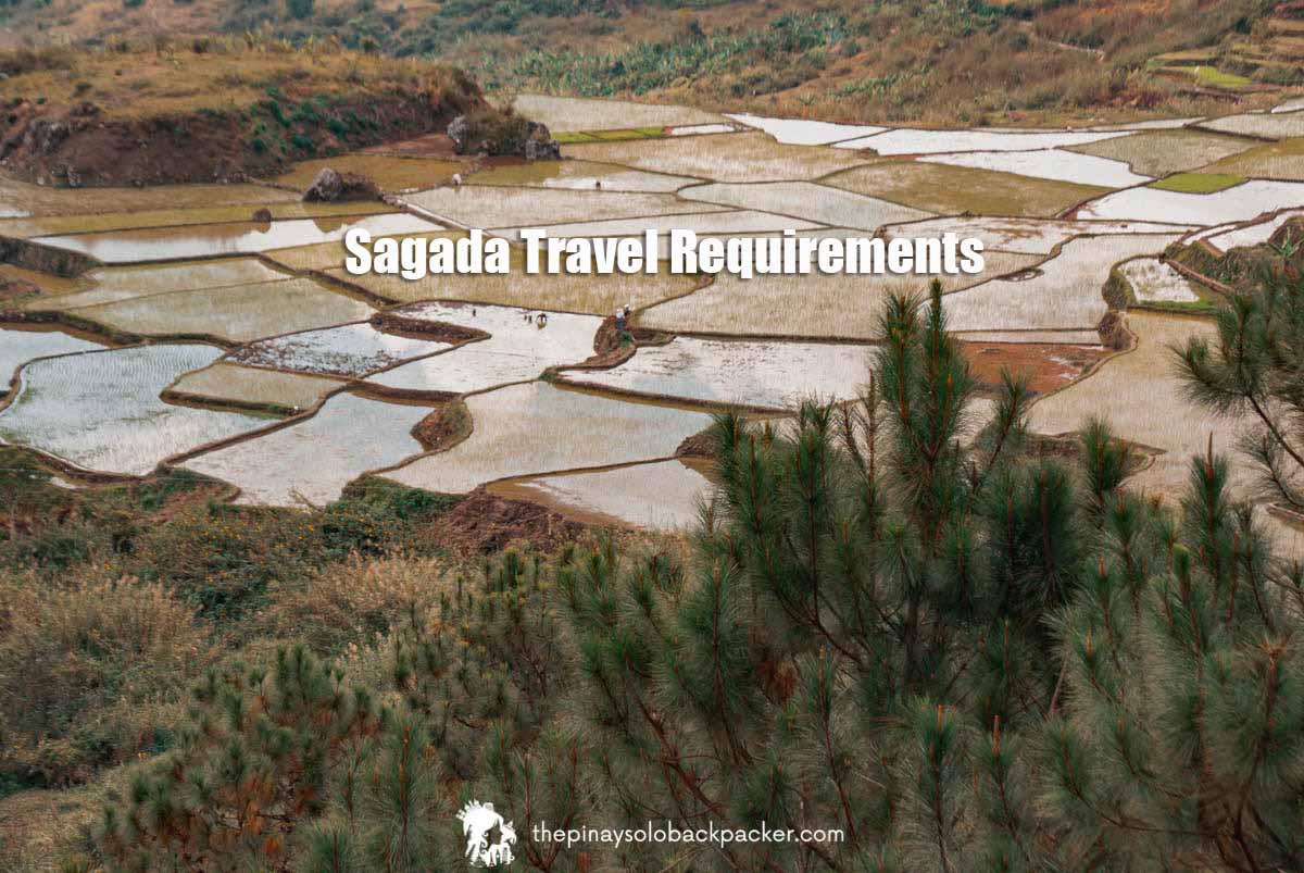 sagada tourism registration
