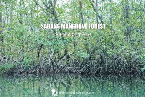 Sabang Mangrove Forest