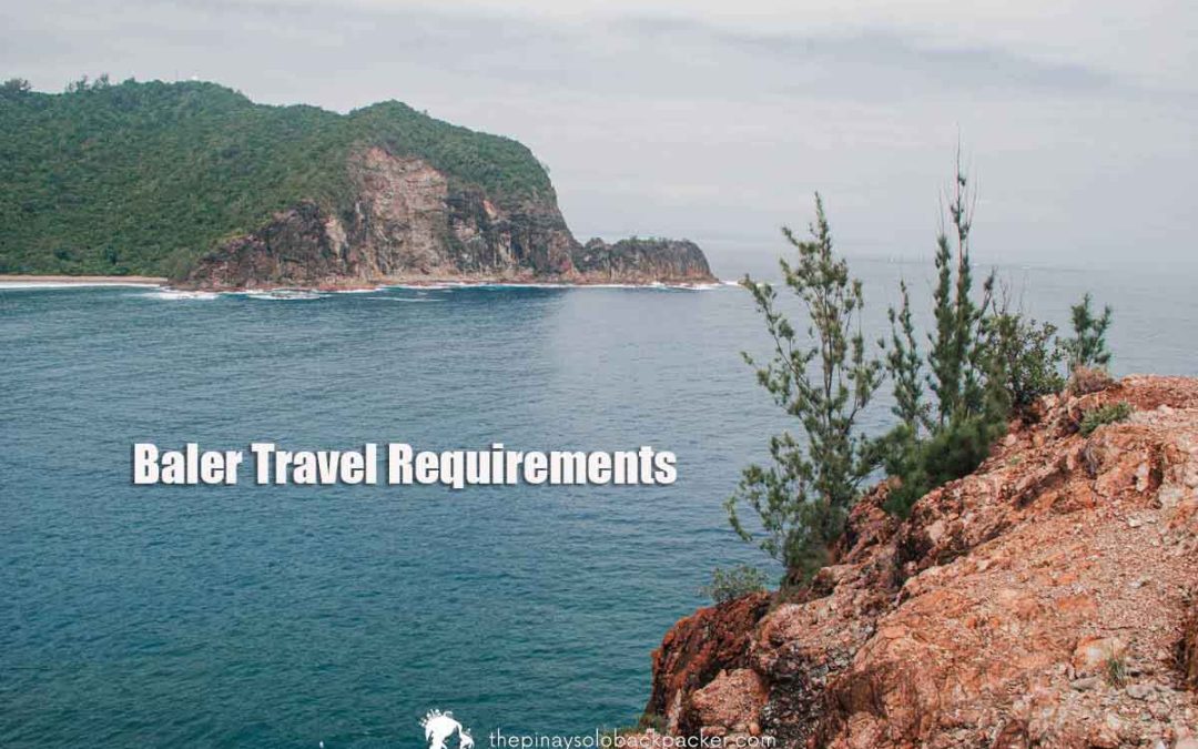 2022 Baler Travel Requirements