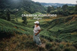 Cameron Highlands Itinerary