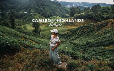 2023 Cameron Highlands Itinerary (3 Days 2 Nights) with Budget