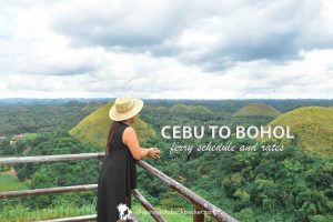 cebu bohol ferry schedule and rates